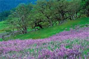 微信截图_20220608135928.jpg 微信截图_20220608135928.jpg