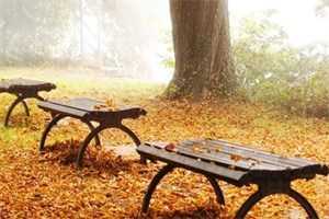 微信截图_20220608135925.jpg 微信截图_20220608135925.jpg