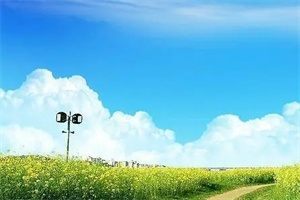 遣悲（展眉 钟夜）精彩小说无删减