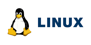 开发者，熊二都会的Linux入门