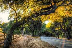 UC截图20220722155728.jpg UC截图20220722155728.jpg