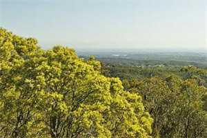 喻晴淼褚若博(喻晴淼褚若博小说)在线阅读全文_喻晴淼褚若博小说免费阅读完结版全文