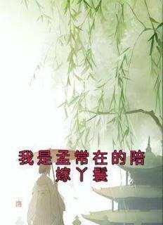 《我是孟常在的陪嫁丫鬟》by佚名(孟四六孟婉清)未删节免费阅读