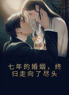 完整版《七年的婚姻，终归走向了尽头》温一曼段正庭小说免费在线阅读