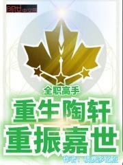 陶轩叶秋小说《全职高手：重生陶轩，重振嘉世》全文免费阅读