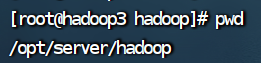 Linux修改hadoop配置文件及启动hadoop集群详细步骤