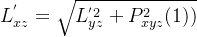 L_{xz}^{'}=\sqrt{L_{yz}^{'2}+P_{xyz}^{2}(1))}