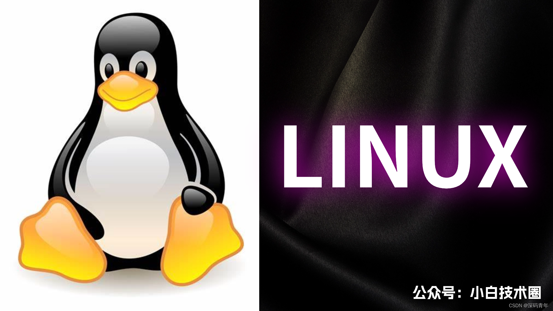 Linux 删除文件命令（超详细）