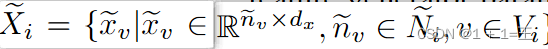 Xi = { xv | xvR nv × dx，nvNi，vVi }