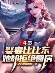 已完结小说《斗罗：娶妻比比东，她却拒绝圆房》精彩章节在线阅读