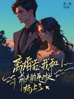 主角宋漱语陆司呈小说爆款《离婚后，我和前夫的死对头好上了》完整版小说