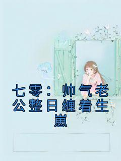 七零：帅气老公整日缠着生崽小说(完结版)-万芳丁向荣在线阅读