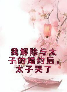 《陆长宁韩政》主角小说我解除与太子的婚约后，太子哭了抖音文免费阅读全文