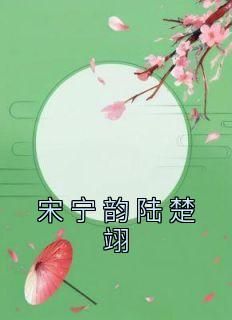 好文热推小说宋宁韵陆楚翊主角宋宁韵陆楚翊全文在线阅读