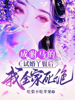 成驸马的试婚丫鬟后，我全家死绝小说(完整版)-阿如李瑞璞章节阅读