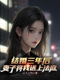 《结婚三年后，妻子将我告上法庭》陆凡苏月灵全章节完结版在线阅读