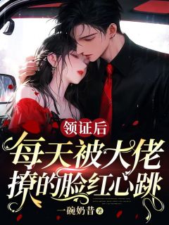 《领证后，每天被大佬撩的脸红心跳》小说在线阅读-领证后，每天被大佬撩的脸红心跳免费版目录阅读全文