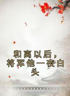 和离以后，将军他一夜白头小说百度云完整章节列表免费阅读