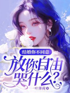 (独家)结婚你不同意，放你自由哭什么？赵依然段嘉臣小说