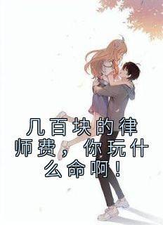 《几百块的律师费，你玩什么命啊！苏青柏李雨蓁》几百块的律师费，你玩什么命啊！全文免费阅读【完整章节】