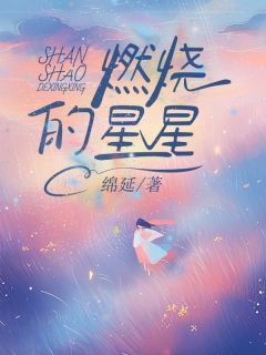 《燃烧的星星》无广告阅读 陈星沈燃厉源免费在线阅读