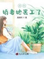 主角童桐穆景砚小说，契约娇妻她罢工了免费阅读全文