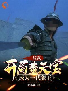 主人公张凡董天宝小说综武：开局董天宝，成为一代狠王在线全文阅读