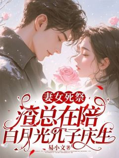 爆款小说由作者易小文所创作的妻女死祭，渣总在陪白月光孩子庆生在线阅读