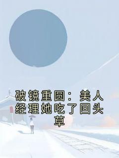 免费试读主角陆枕风池澜小说