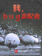 小说《我，bug支配者》在线阅读