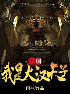 《三国：我是大汉天子》刘冯赵云小说全章节最新阅读