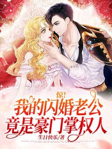 《惊！我的闪婚老公竟是豪门掌权人》完整版-纪然白君奕在线全文阅读