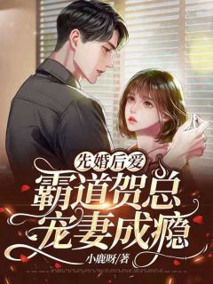 《先婚后爱：霸道贺总宠妻成瘾》免费章节先婚后爱：霸道贺总宠妻成瘾点我搜索全章节小说