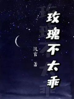 陆怀谦秦枝《玫瑰不太乖》小说完整版