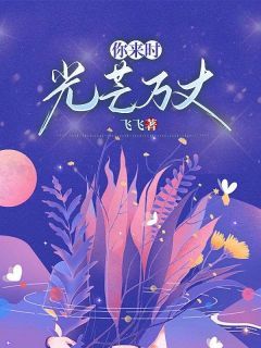 小说推荐《你来时，光芒万丈》完结版全章节阅读