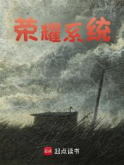 无删减版《荣耀系统》章节免费阅读