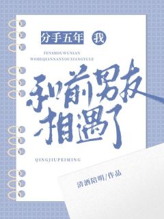 《分手五年，我和前男友相遇了》小说免费阅读 许稚宋池袁立大结局完整版