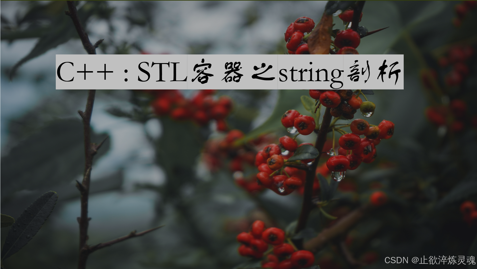 C++ : STL容器之string剖析