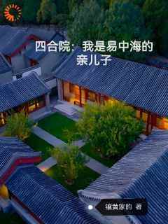 《四合院：我是易中海的亲儿子》小说易平安桂花免费阅读