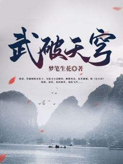 武破天穹无弹窗在线阅读