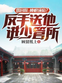 《阎解真秦淮茹》主角小说四合院：棒根诬陷？反手送他进少管所抖音文免费阅读全文