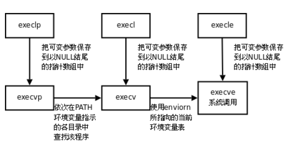 exec函数