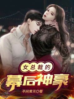 主角许晨苏清寒小说完整版-女总裁的幕后神豪免费阅读全文