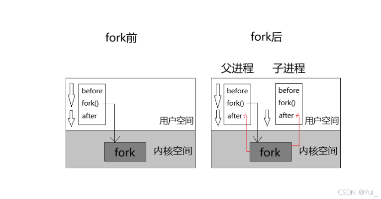 fork的执行情况