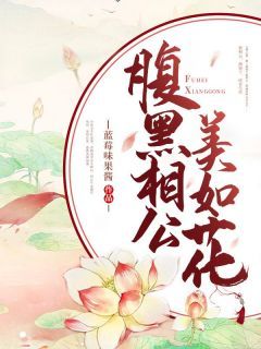 蓝莓味果酱写的小说《腹黑相公美如花》叶清清沈从安全文阅读