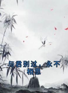 姜沐漓君玄烨小说大结局在哪看-与君别过，永不相思完整版免费阅读