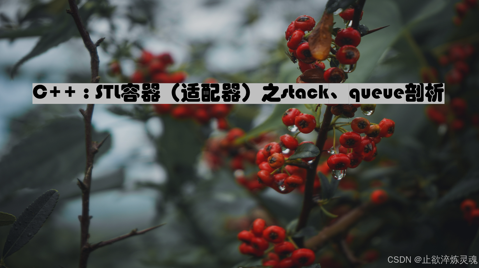 C++ : STL容器（适配器）之stack、queue剖析