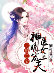 小说《一胎二宝：神医嫡女宠上天》全文免费阅读