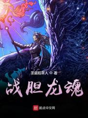 小说《战胆龙魂》在线全文阅读