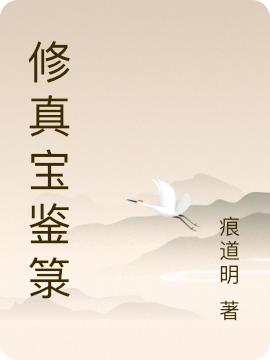 修真宝鉴箓杨泽小说免费阅读